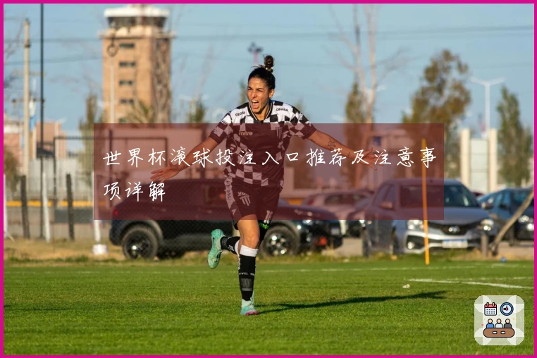 世界杯滚球投注入口推荐及注意事项详解