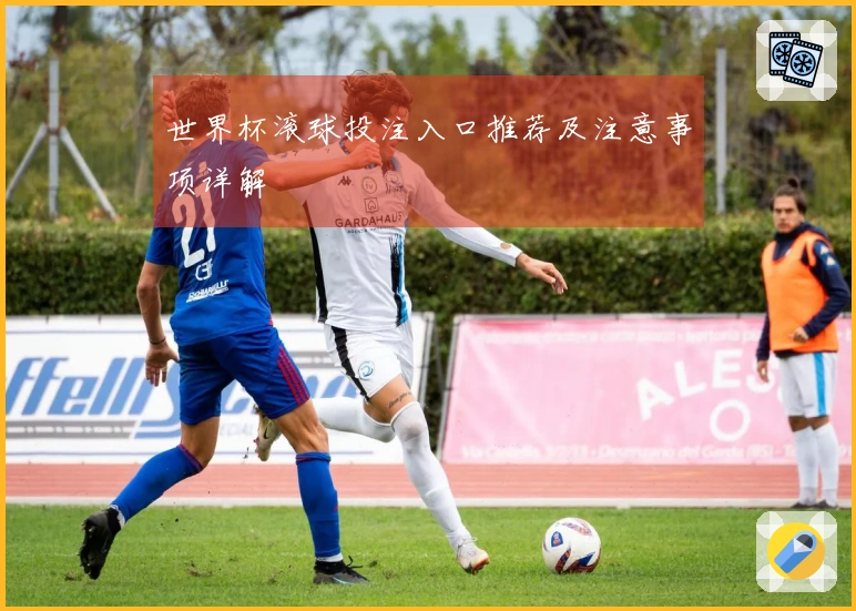 世界杯滚球投注入口推荐及注意事项详解