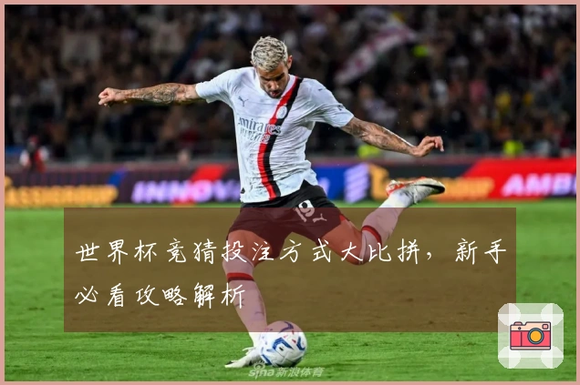 世界杯竞猜投注方式大比拼，新手必看攻略解析